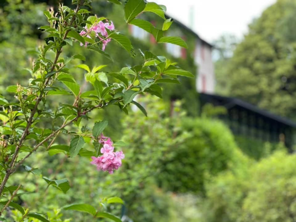 Les Grillons du Morvan Montsauche-les-Settons Extérieur photo